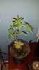 20180521_205632.jpg