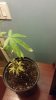 20180521_205702.jpg