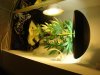DSC00620.jpg