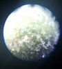 20180522_110224.jpg