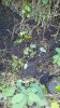 20180523_062248.jpg