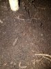 20180524_002924.jpg