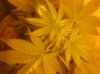 20180524_005954.jpg