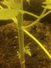 20180524_012843.jpg