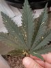 20180524_072707.jpg