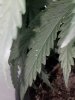 20180524_151739.jpg