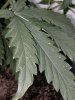 20180524_151725.jpg
