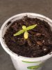 20180524_184231.jpg
