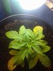 20180525_121405.jpg