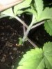 20180525_175248.jpg