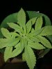 20180526_083926.jpg