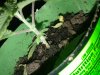 20180526_083939.jpg