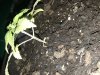 20180526_083835.jpg