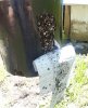 20180524_131938-1.jpg 20180524_131938-1.jpg
