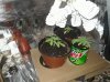 20180526_145100.jpg
