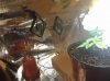 20180526_084156.jpg