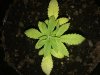 20180526_083828.jpg