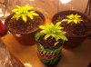 20180527_090346.jpg