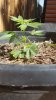 20180528_094811.jpg 20180528_094811.jpg