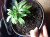 20180529_085259.jpg