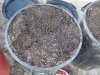 supersoil mixed (1).JPG