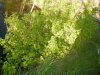 DSCN8080.JPG