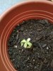 20180531_112653.jpg