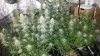 20180601_223443.jpg