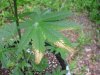 DSCN2860.JPG