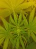 20180604_015735.jpg