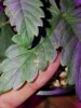20180604_032517.jpg 20180604_032517.jpg