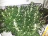 20180604_205511.jpg