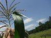 DSCF8301.JPG