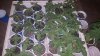 20180607_090823.jpg