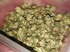 GG#4 popcorn nugs.jpg