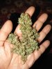 GG#4 popcorn.jpg