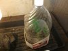 DSCF1569.JPG