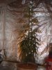 DSC00053.JPG
