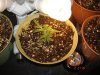DSC02582.jpg