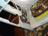 DSC02587.jpg