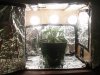 growbox.JPG