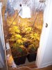 100_1016.jpg