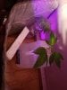 20180613_094817.jpg
