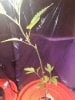 20180613_094930.jpg