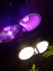 20180613_095004.jpg