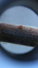 8FFD90A5-8659-4A98-998F-9D4D26D85251.png
