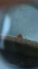 127CA83F-A94E-4B39-B9A4-B292C6B711CE.png