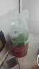 20180615_005726.jpg