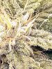 IMG_20180614_162555443~2.jpg