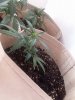 20180615_182208.jpg